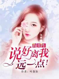 先生离我远一点电子书