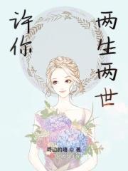 许你两生两世免费阅读