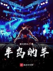 半岛什么样