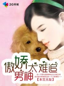 傲娇男神撩妻忙最新章节