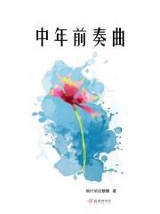 走过三十年歌词