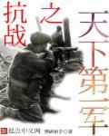抗战之军阀天下
