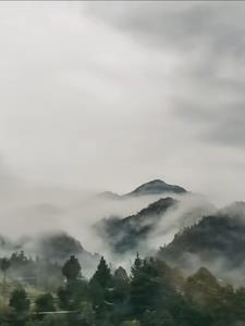 神秘复苏免费阅读