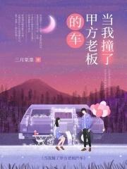 给人开车撞了东西老板赔是我赔