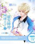 网球王子之破坏神全本
