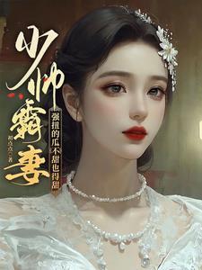 少帅要抢妻