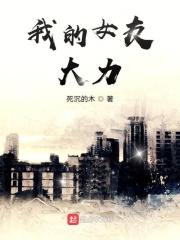 我的女友不只有诸葛大力